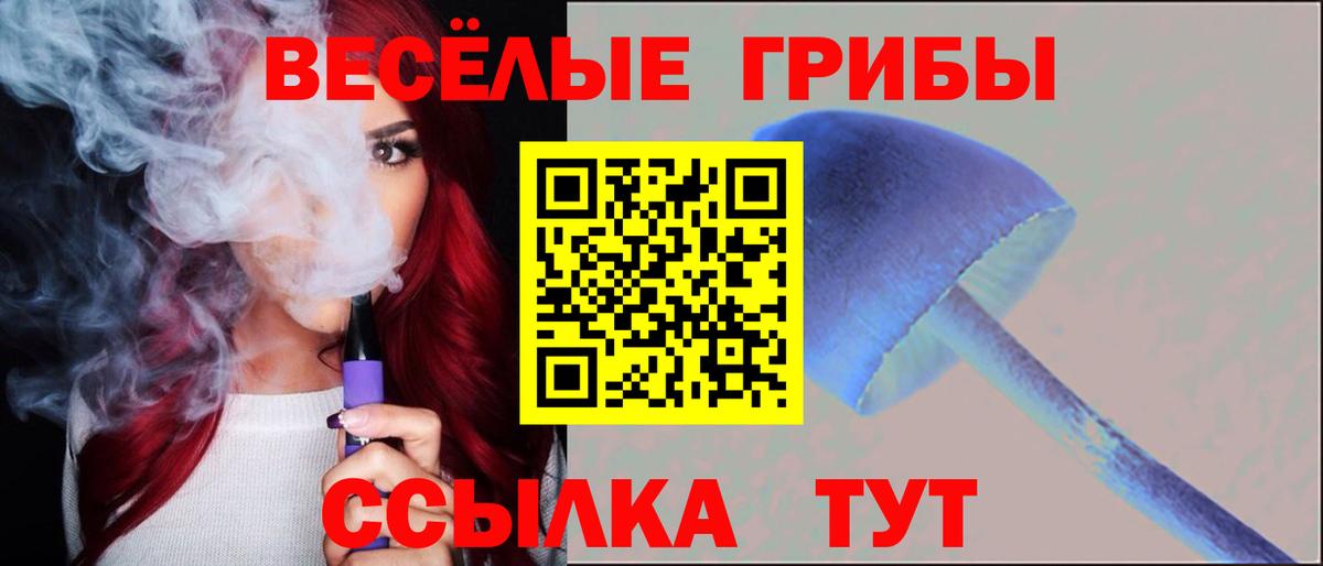 Псилоцибиновые грибы мицелий Бахчисарай